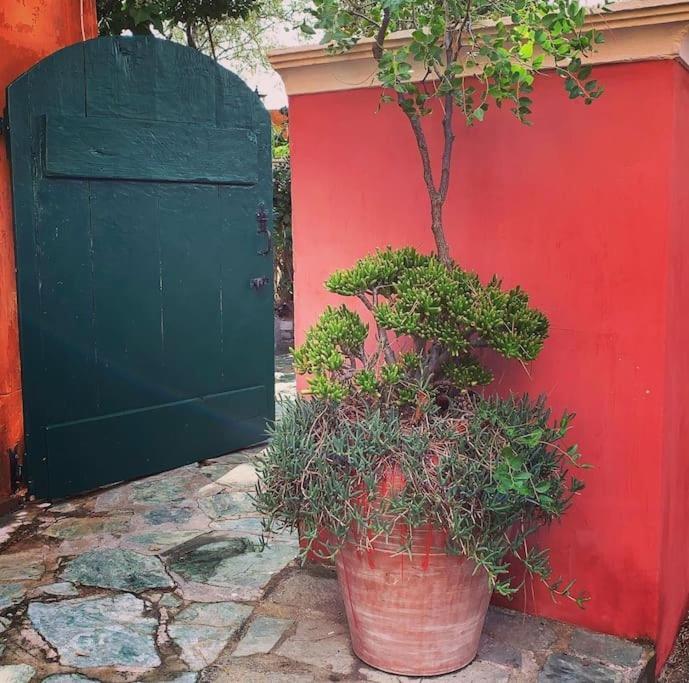 Villa Antonia Calvi  Luaran gambar
