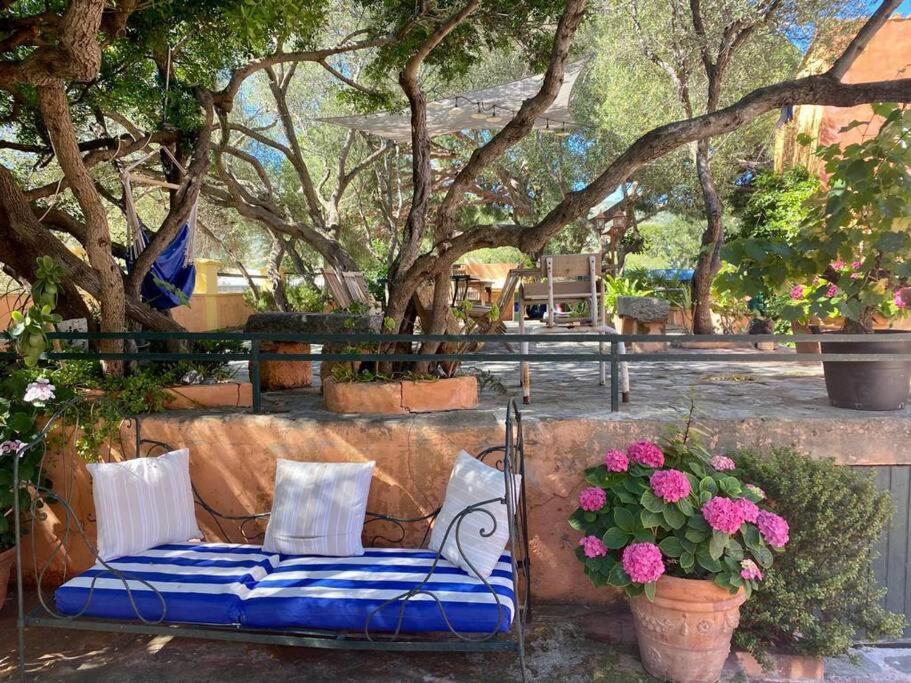 Villa Antonia Calvi  Luaran gambar